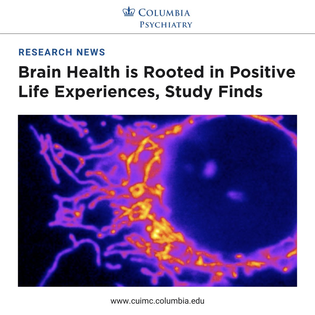 A new study from Columbia researchers found that experiencing less psychological stress is associated with lower odds of developing brain disorders like  Alzheimer's disease &amp; slower cognitive decline with age.

Read more: cuimc.columbia.edu/news/brain-hea… <a href="/CarolineTrumpff/">Caroline Trumpff</a> <a href="/MitoPsychoBio/">Martin Picard</a>