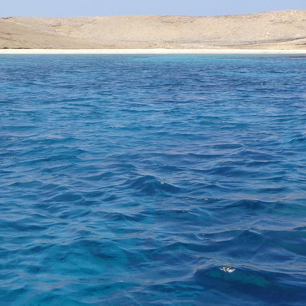 منصور بن رشيد tweet media