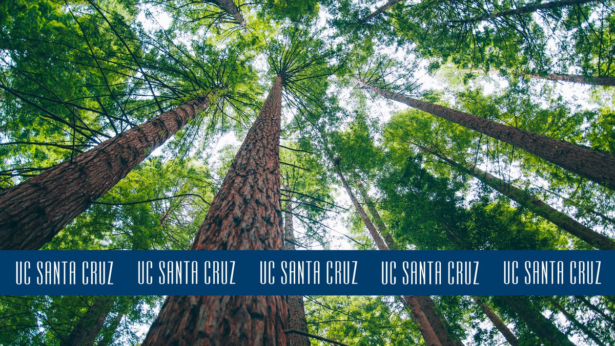 #9 - Tallest trees of any dev bio conference venue!
(photo credit: UCSC Communications)