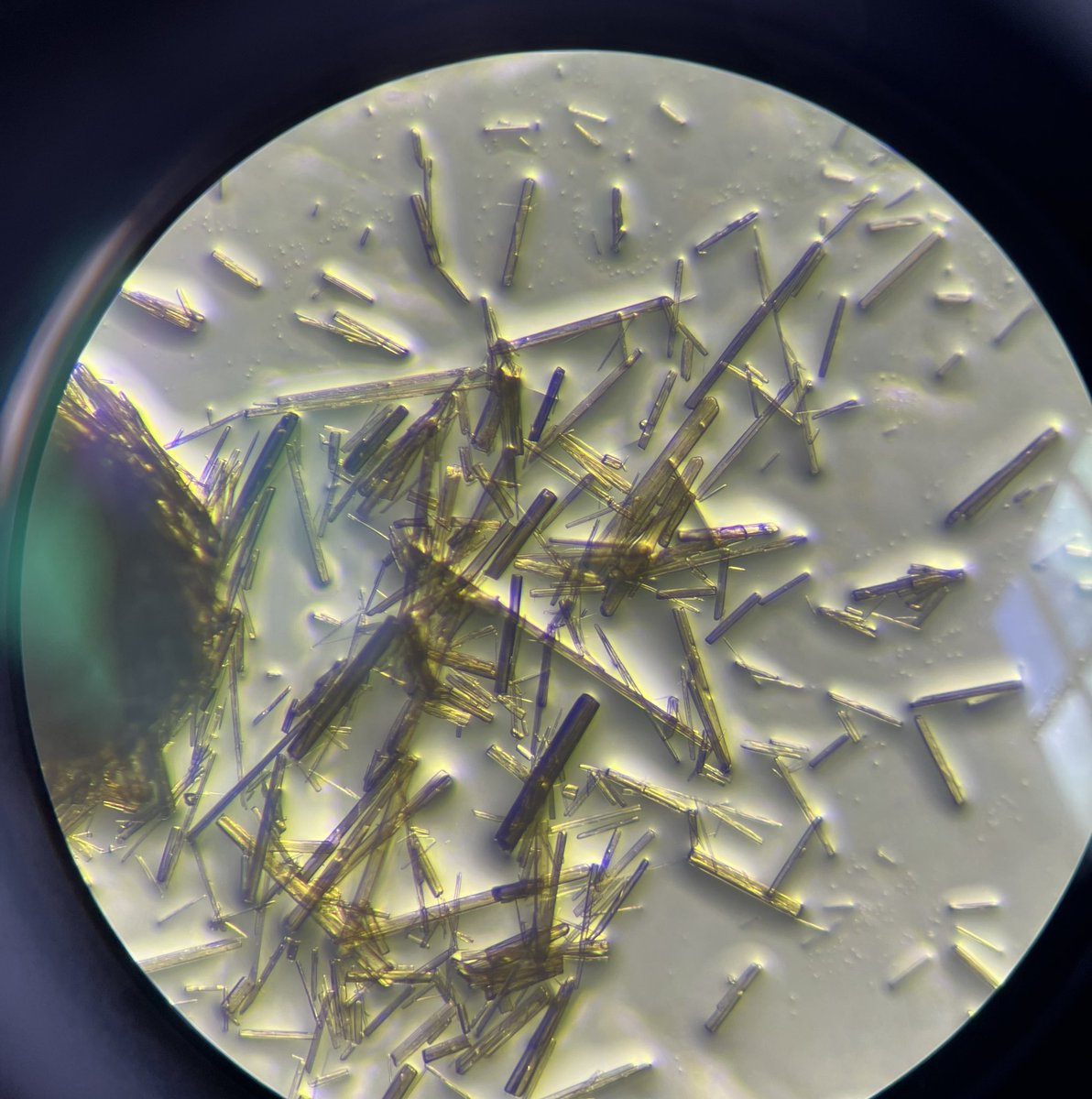 Some nice forest green crystals right before our trip to Humboldt 🌲💛<a href="/JacktheChemist/">Jack</a> <a href="/NymanMay/">NymanLab</a> #chemistry #oregonstate