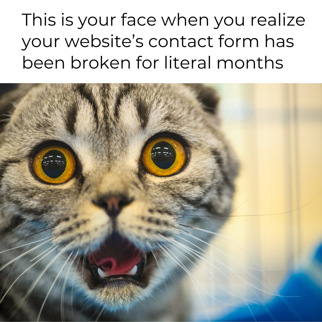 EasyWebsiteForm's tweet image. TFW you do the math and realize how much money you&apos;ve lost from having a broken contact form on your website... 

Tired of losing valuable leads? We have your back.

easywebsiteform.com

#contactforms #leadgeneration