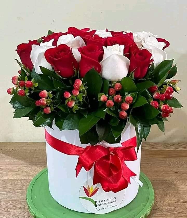 صباح الاملِ المشرق في جوف السماء..صباح يبعث على النقاوة والصفاء تتجدد به الأشواق وتخطف به الانفاس ..صباح الخير يا وجوه الخير ، حيث تشرق شمس الصباح فتشرق معها قلوبنا بالأمل والتفاؤل و بأن القادم أجمل صباح يتجدد معه الأمل ويكتب حروف جديده من السعادة 
صباح الخير 🕊️❤️🌹✨