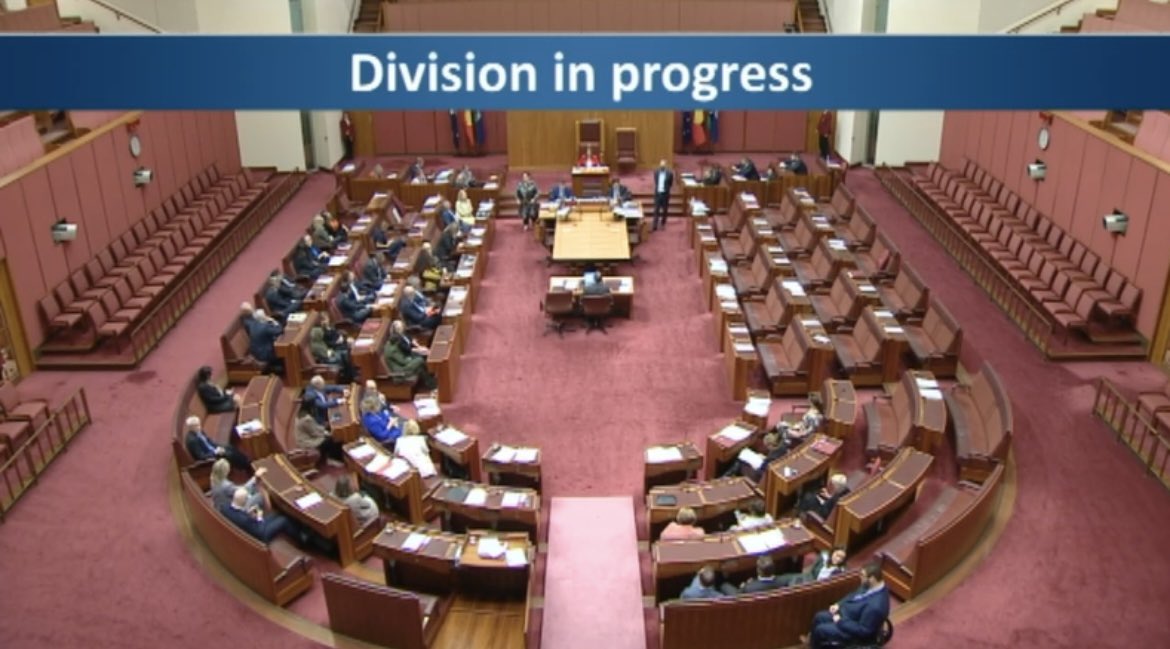 Tanya Plibersek tweet media