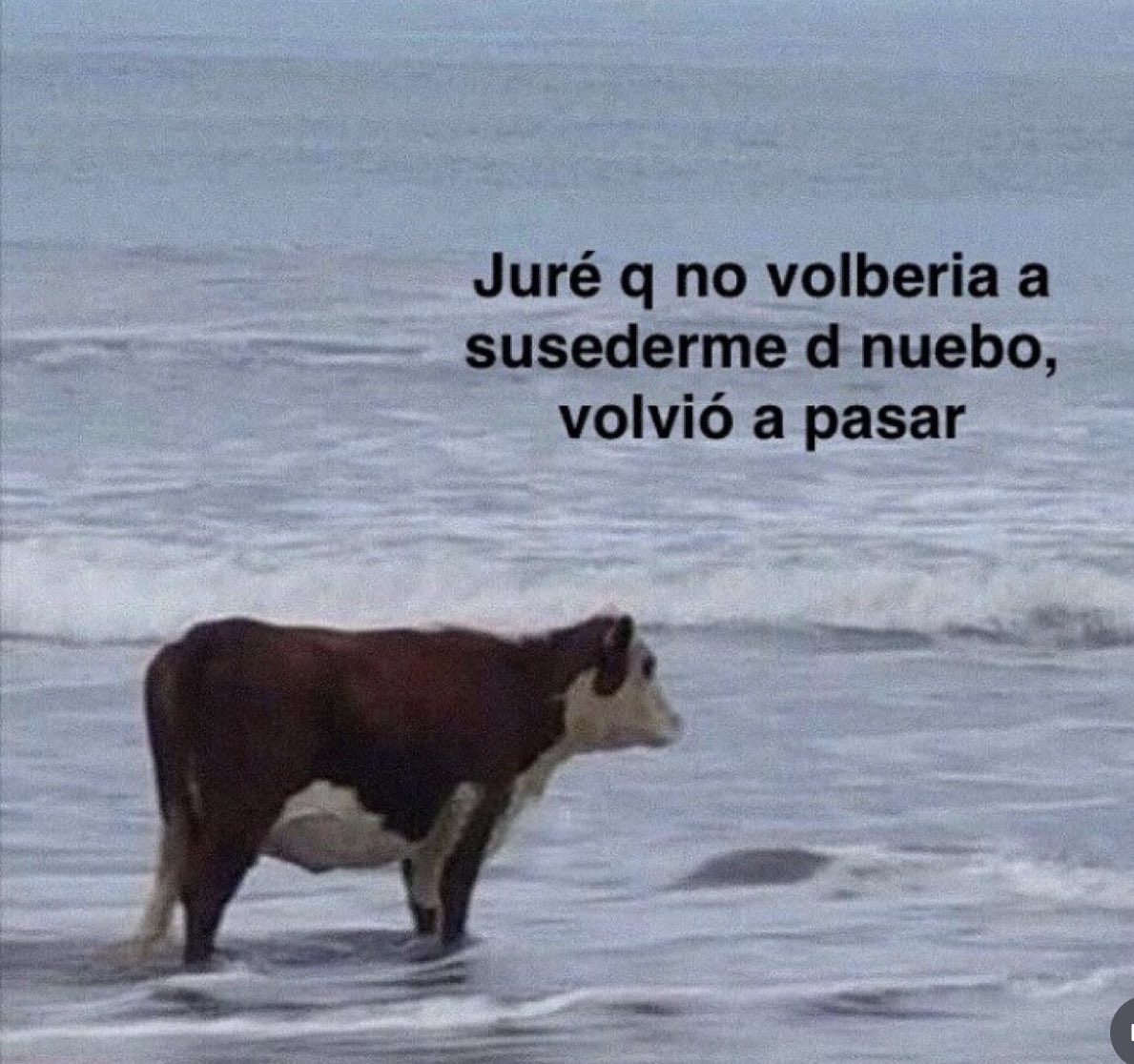 chale