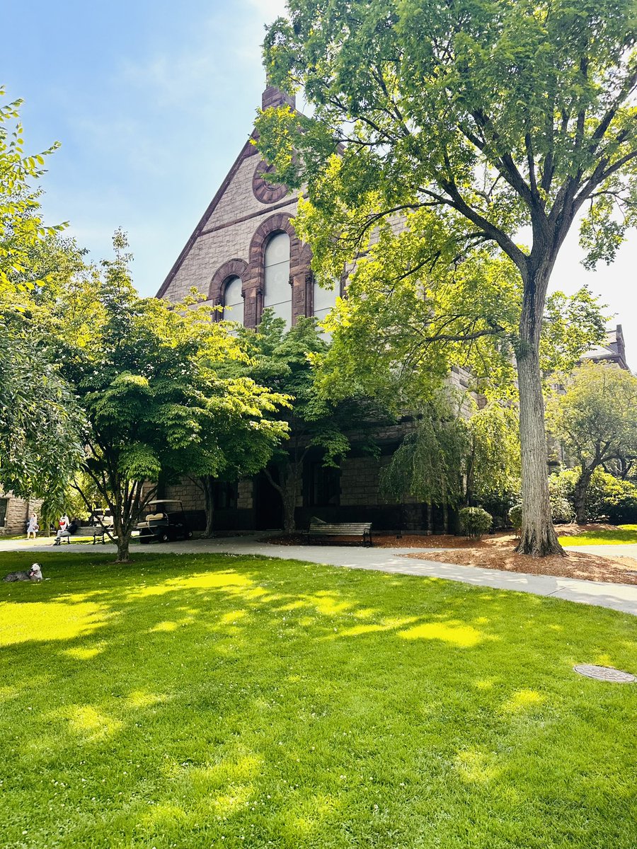 AReeseRoberts's tweet image. After a great camp I am exited to say I got offered by Brown University thank you  
@BrownHCPerry 
@CoachW_Edwards 
@coach_jonke @coach_marini 
 @BrandonHuffman 
speed kills 4.42 40
#ivyleague