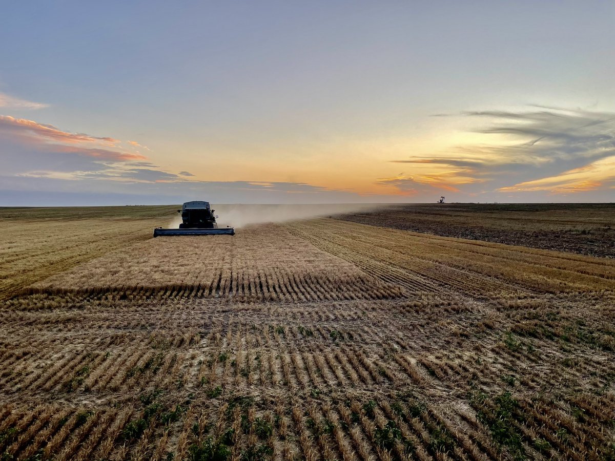 TrooperTodKHP's tweet photo. Current view!

Be safe on harvest everyone. Hope you all have a good one with no breakdowns…or only minor ones. 😬 https://t.co/kMm0zomd3c