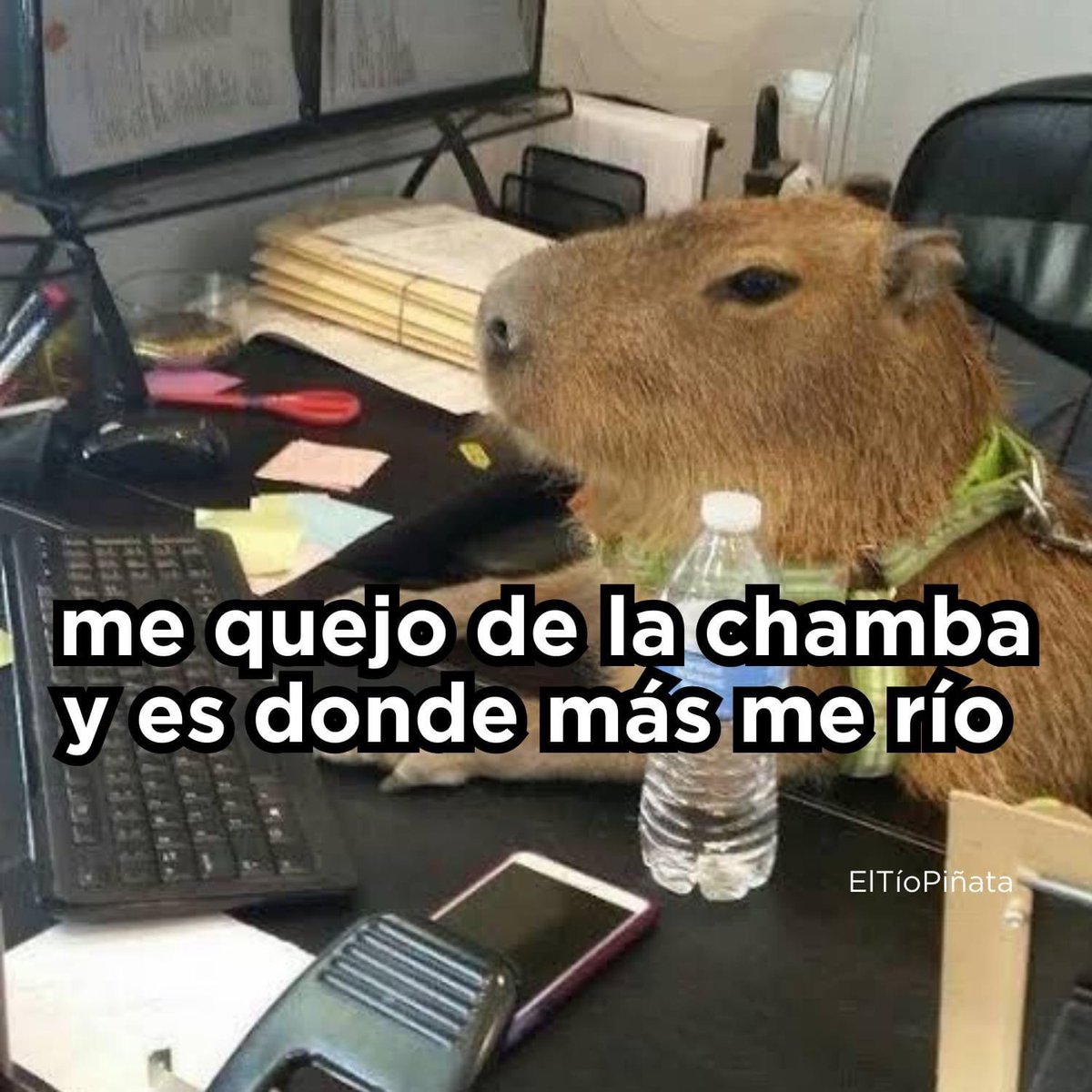 Guarromantico_'s tweet photo. Y que tiene? https://t.co/wb29HTKpAC