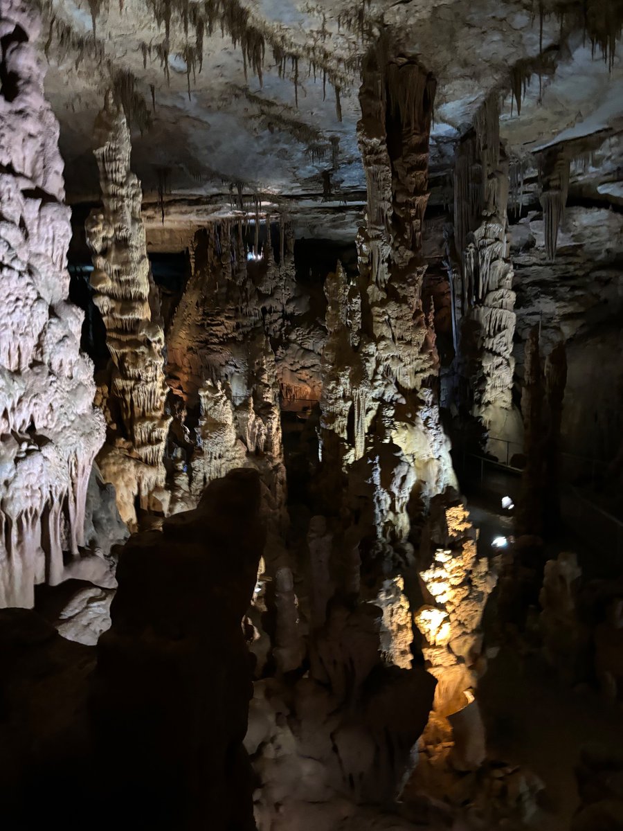 vannewell's tweet photo. Cathedral Caverns State Park was the best antidote to a 98 degree day outside, highly recommend. https://t.co/HLQBKccOPq