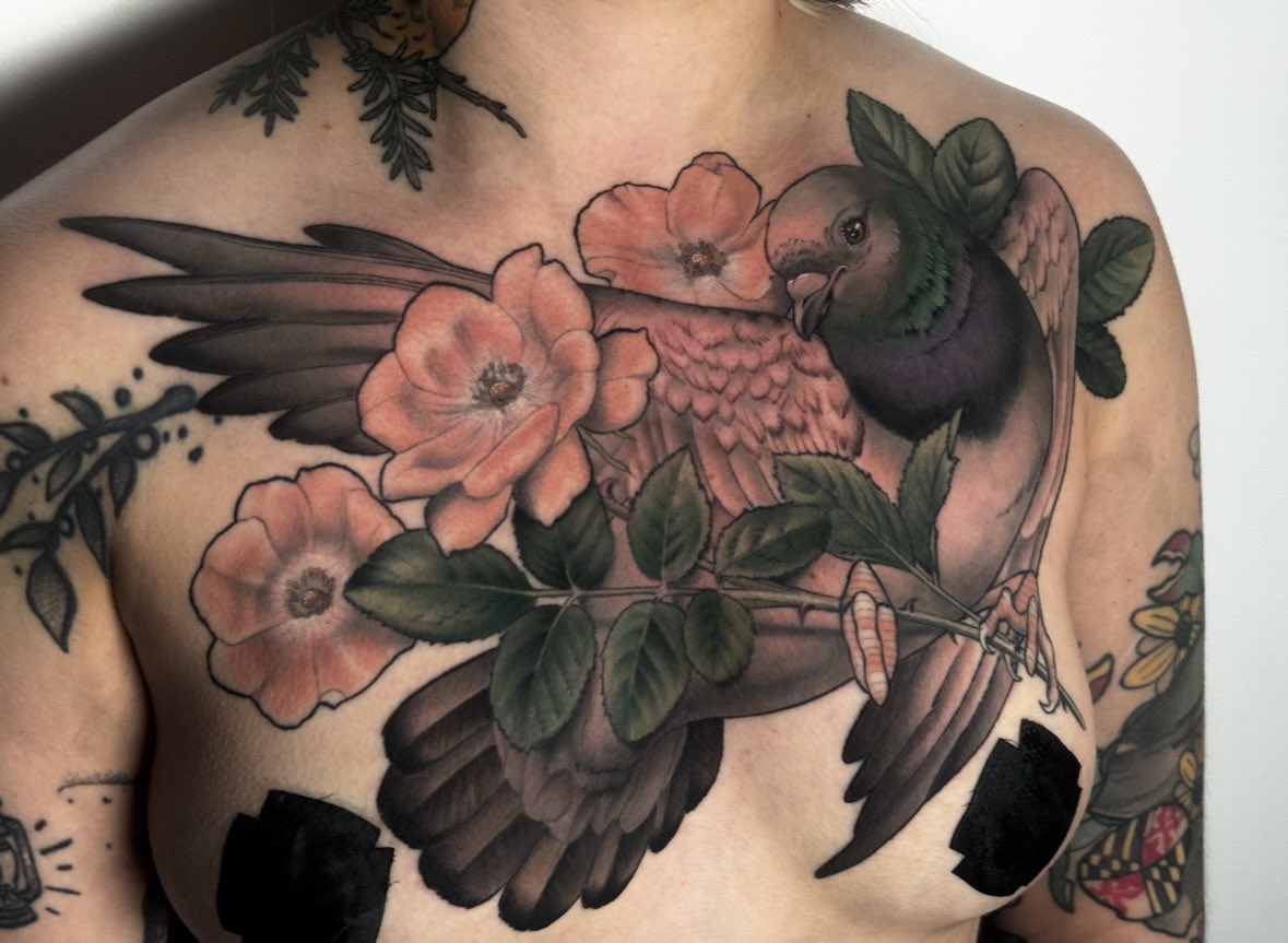 botch_toe's tweet image. MORE PIGEON CHEST PIECES PLEASE