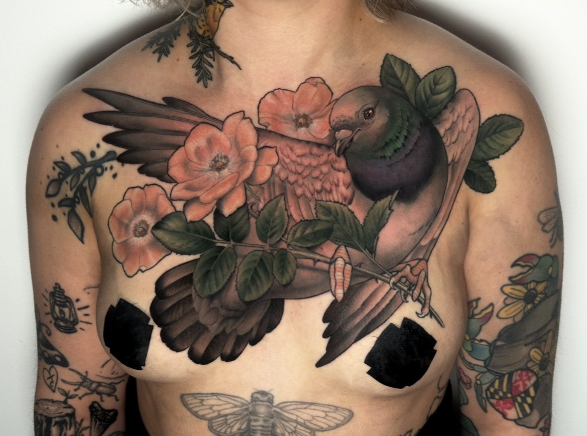 botch_toe's tweet image. MORE PIGEON CHEST PIECES PLEASE