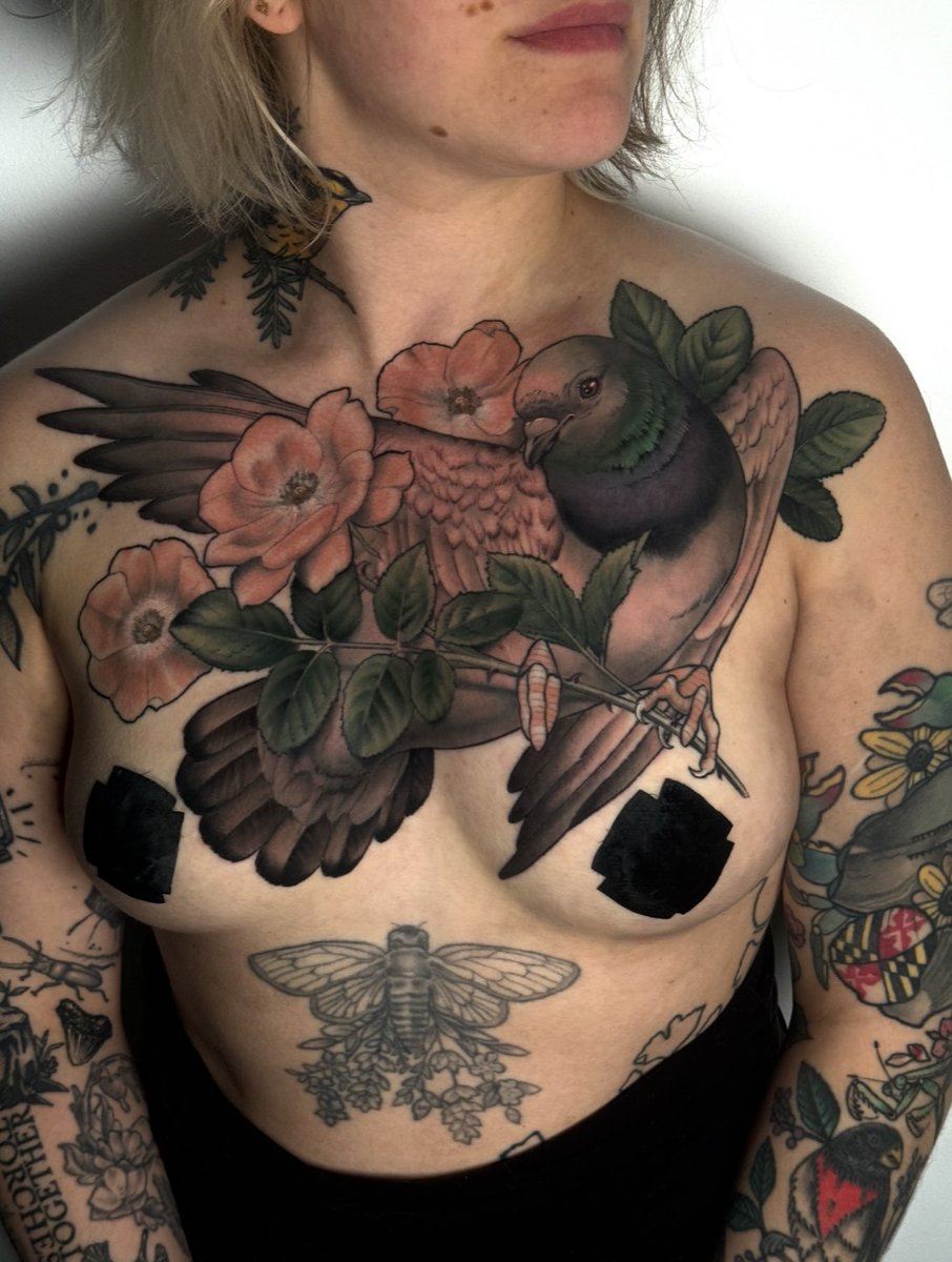 botch_toe's tweet image. MORE PIGEON CHEST PIECES PLEASE