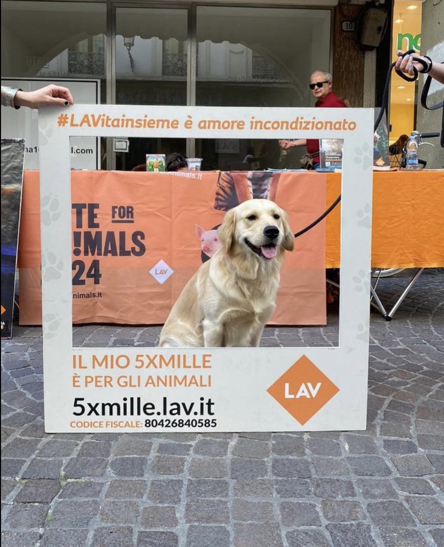 SOSTIENI GLI ANIMALI DONANDO IL TUO 5X1000 A LAV🧡
#lav #lavpadova #5x1000