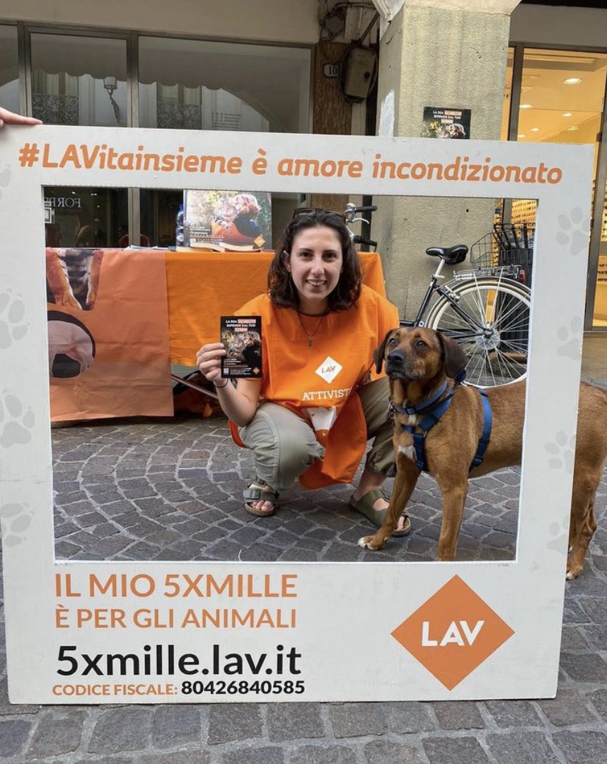 SOSTIENI GLI ANIMALI DONANDO IL TUO 5X1000 A LAV🧡
#lav #lavpadova #5x1000