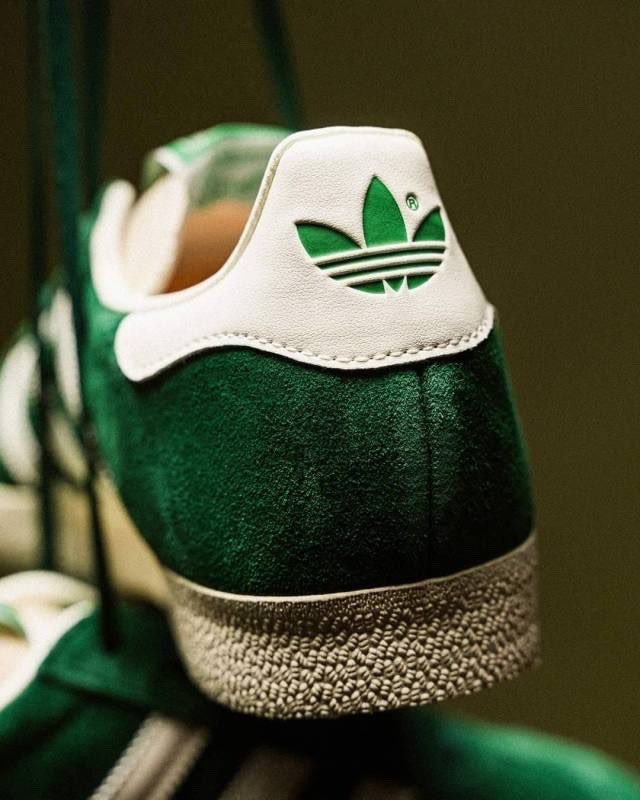 James_PicColor's tweet photo. •📸💚• https://t.co/7Qs4dPZ2fZ