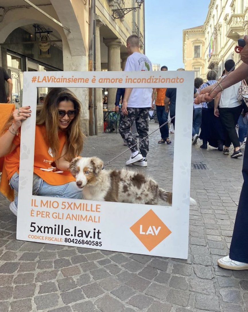 SOSTIENI GLI ANIMALI DONANDO IL TUO 5X1000 A LAV🧡
#lav #lavpadova #5x1000