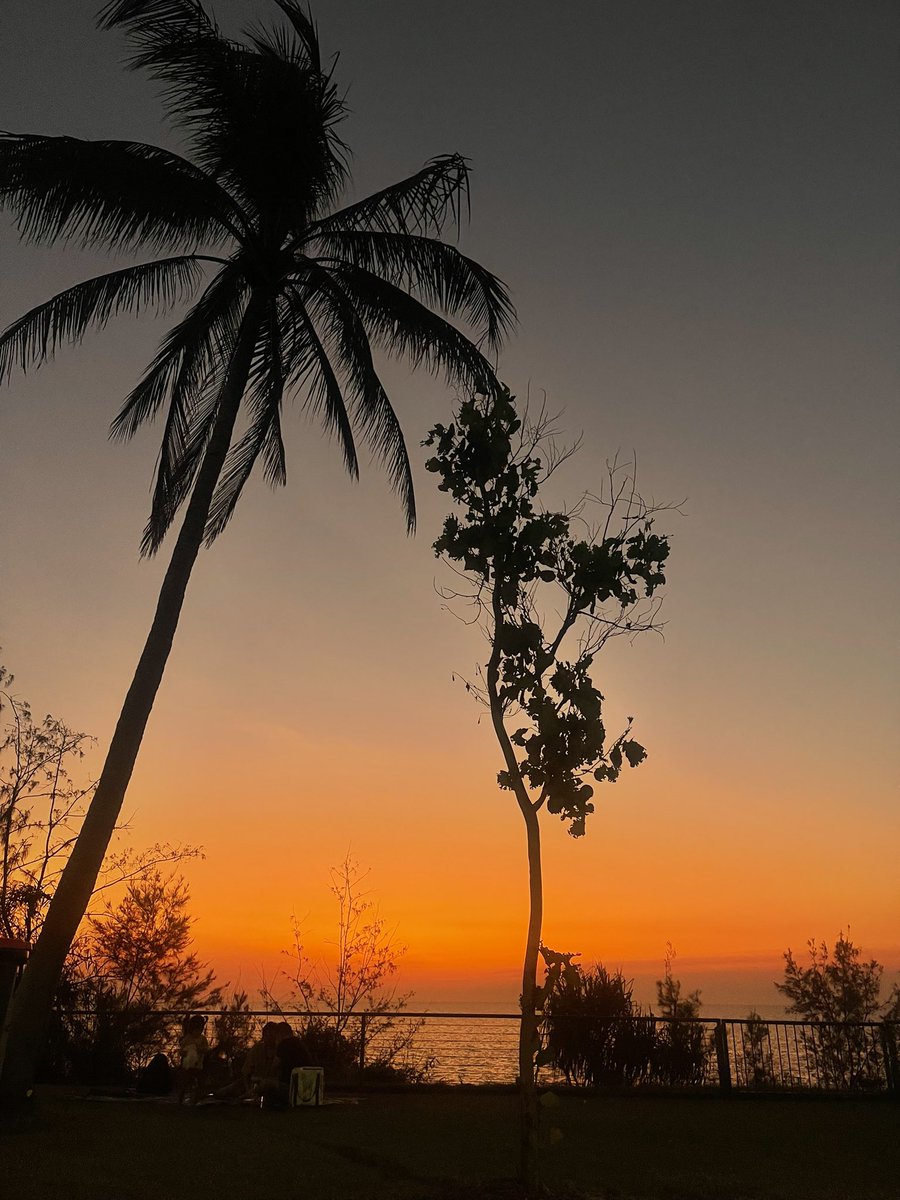 𝑪𝑯𝑨𝑹 🤍 tweet media