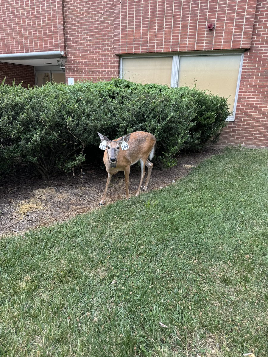 Emma M. Groarke tweet media