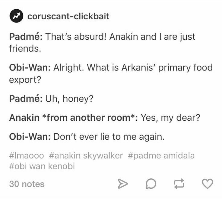 —— 

It was hardly a lie . . . Just a fabrication of the truth .