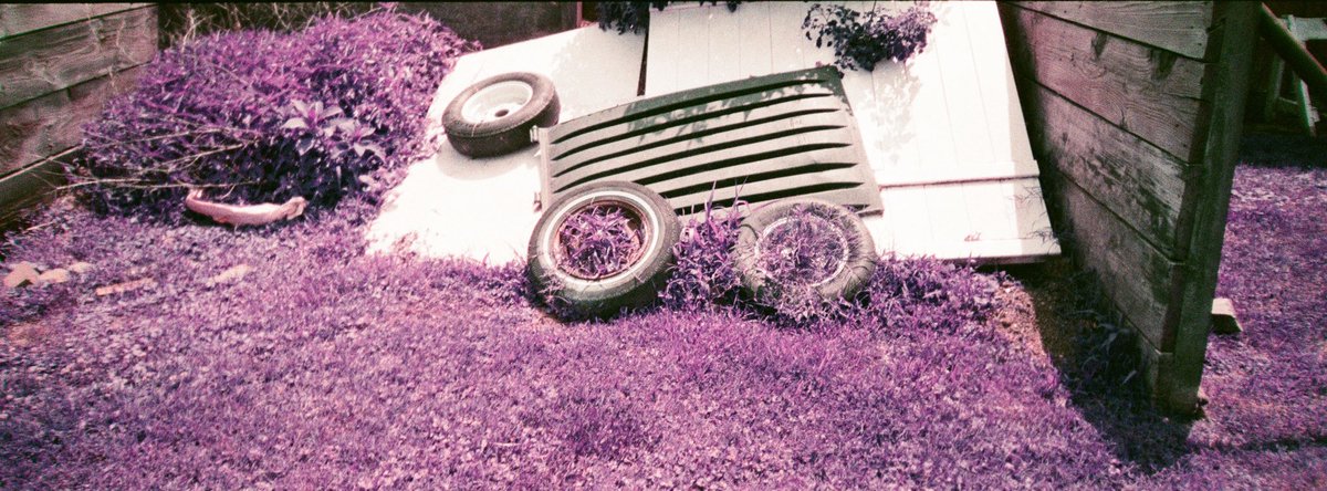 Chrnaturephotos's tweet photo. First roll of from my Minolta P’s
Lomochrome purple 100iso
Reformed film lab
6/2024
#filmphotography #minoltaps #panoramic #lomochromepurple #lomography #lomochromepurple https://t.co/sqGFVjlE91