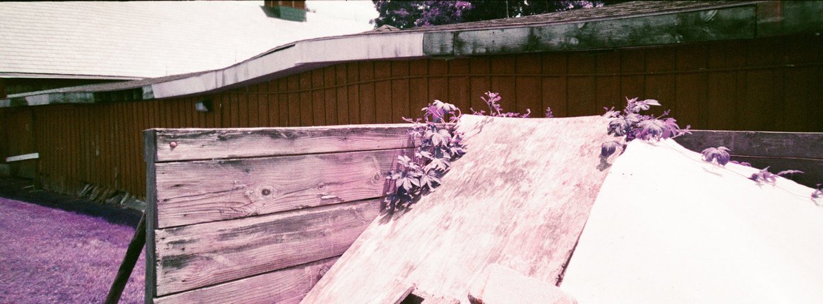 Chrnaturephotos's tweet photo. First roll of from my Minolta P’s
Lomochrome purple 100iso
Reformed film lab
6/2024
#filmphotography #minoltaps #panoramic #lomochromepurple #lomography #lomochromepurple https://t.co/sqGFVjlE91