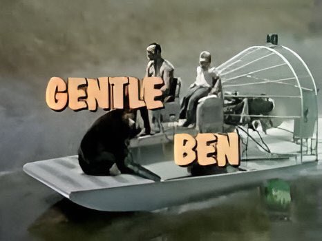 MantzMitchell's tweet image. What’s that, girl? Timmy fell down the well AGAIN?? Friday at 10 am Pacific on 1150 KKNW Seattle and 1150kknw.com, Mantz and Mitchell reminisce with Geoffrey Mark about classic TV shows featuring animals that remain famous (and beloved) to this day. 📺❤️