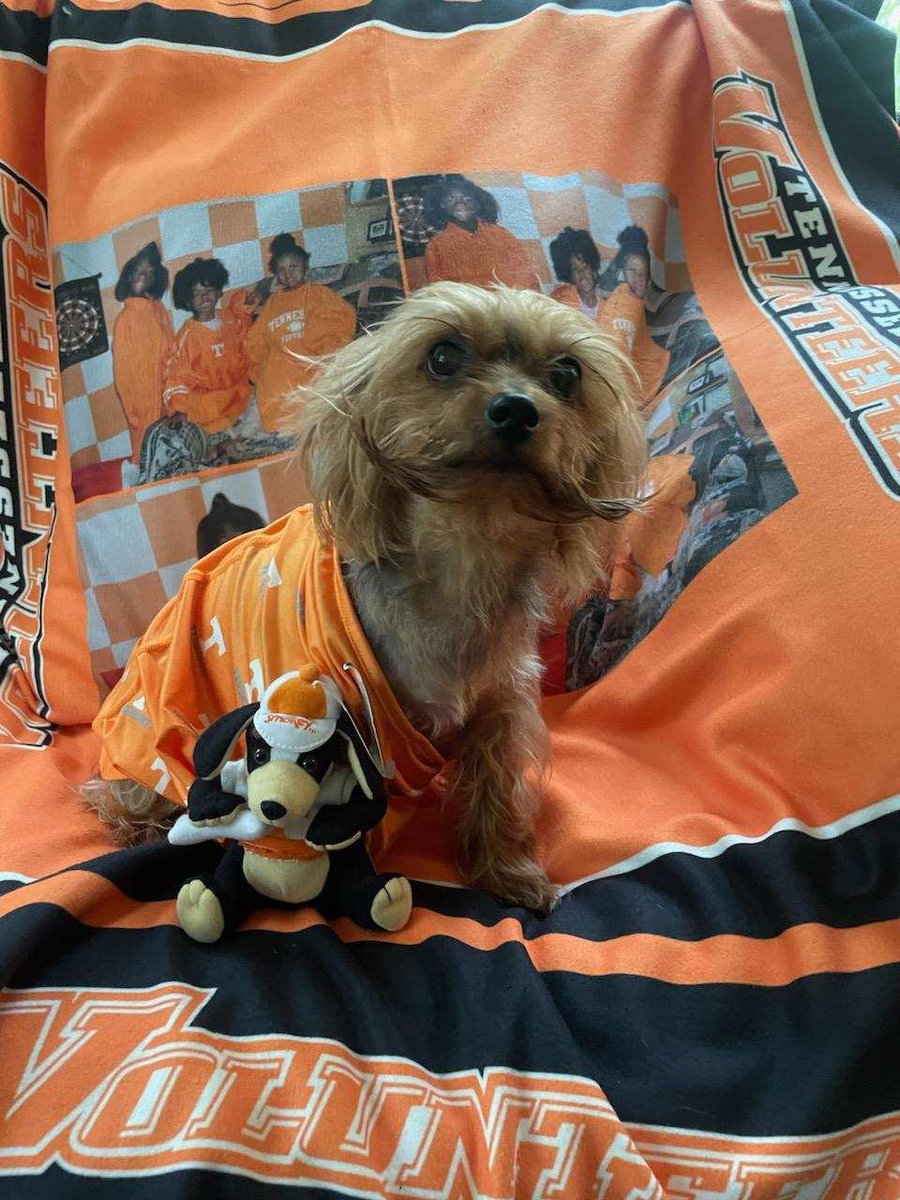 I’m gonna tell my grandkids this is <a href="/KirbyConnell16/">Kirby Connell</a> ! 
<a href="/Vol_Baseball/">Tennessee Baseball</a> <a href="/Elissa_Longmire/">Elissa Longmire</a>