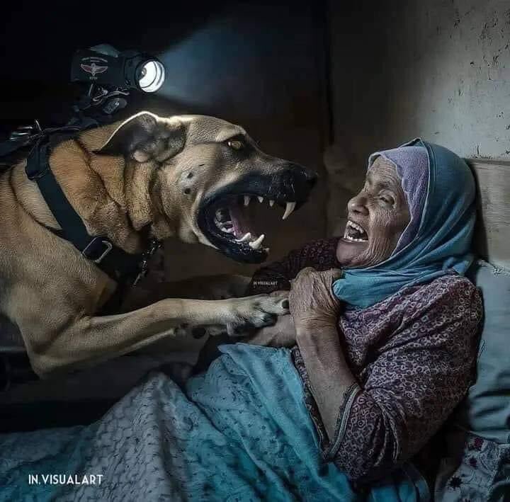 مشهد حقيقي من غزة و ليس فيلم ..💔