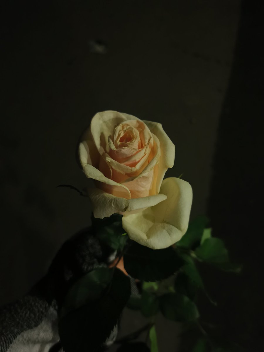 сегодняшний день был наполнен таким огромным количеством положительных эмоций 🤍