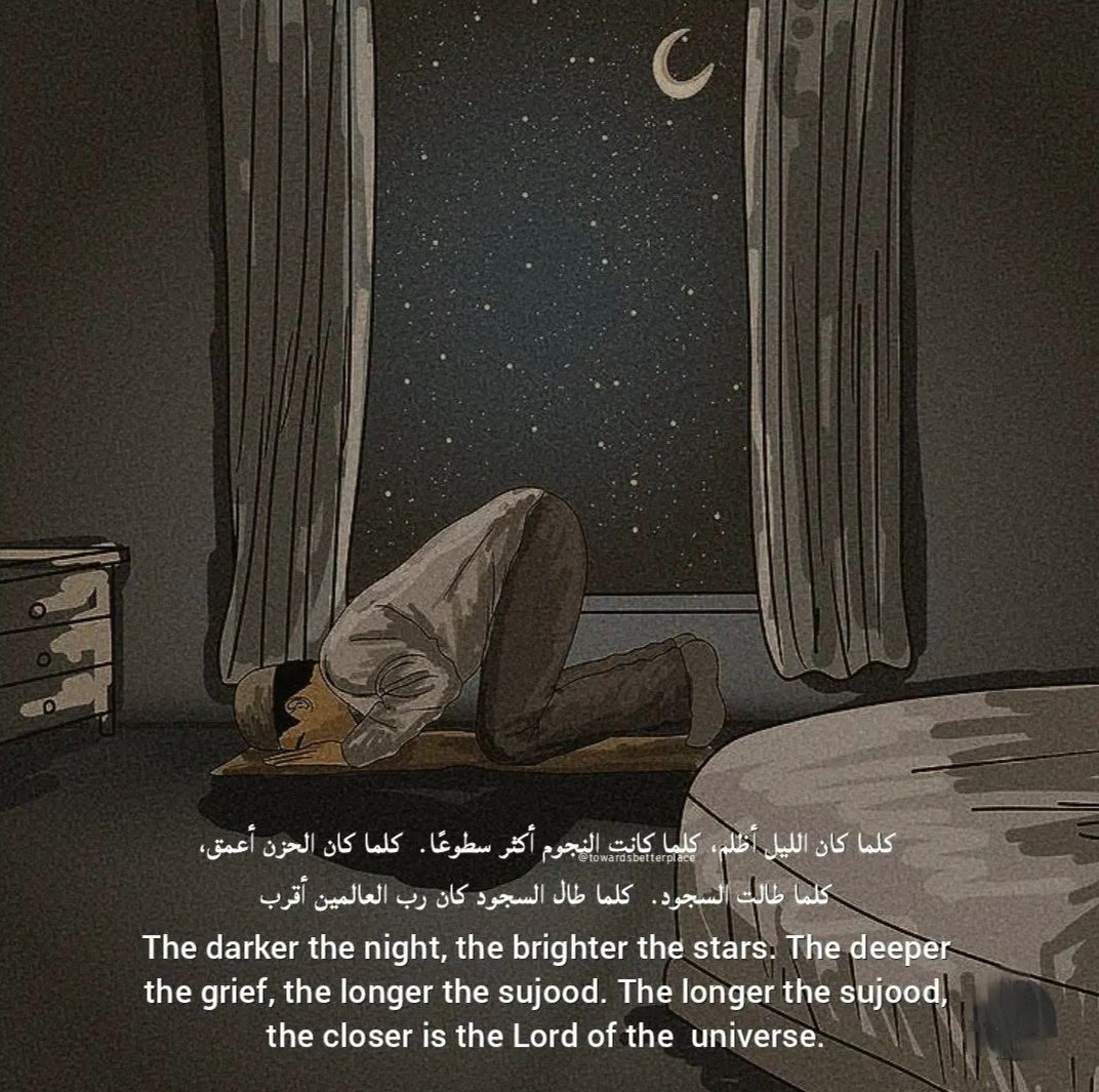 منهاج السنه tweet media