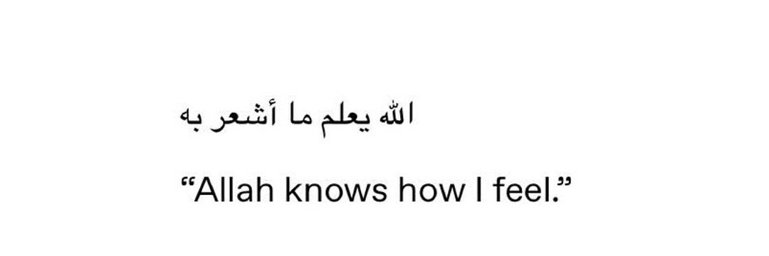 Al__Quraan's tweet image. Allah knows how I feel