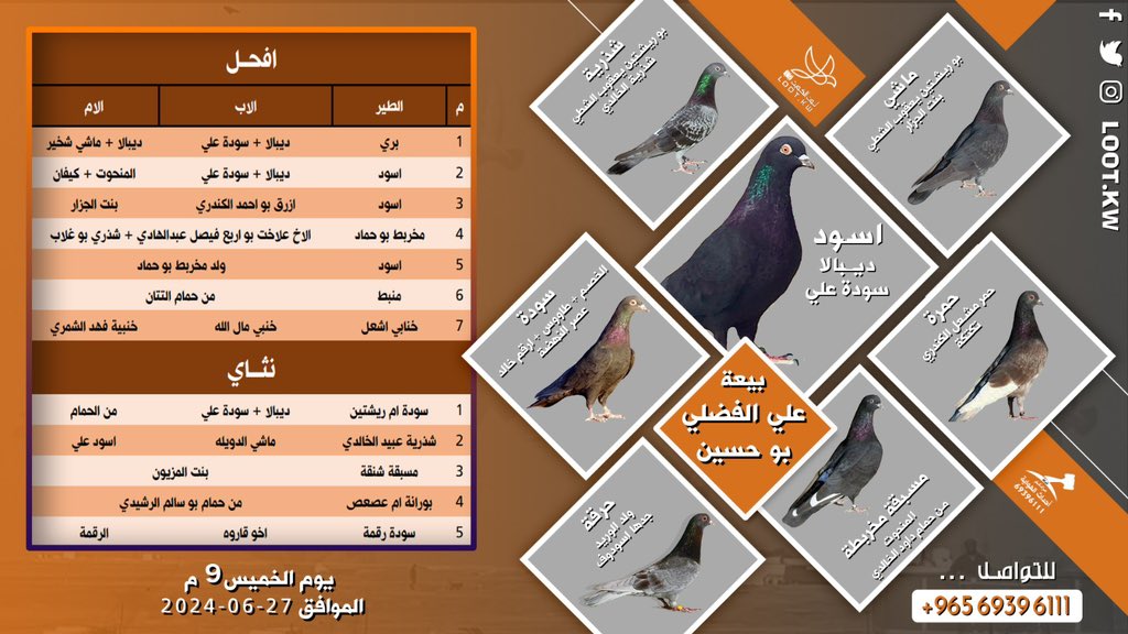 lootkw's tweet photo. 🔥 بيعة علي الفضلي بو حسين🔥
الساعة 9 مساءً
.
ونازل على راس البيعة:
الاسود ولد ديبالا
الماشي والشذرية عيال بو ريشتين يعقوب الشطي
الحمرة بنت تكتكة
السودة
المخربطة بنت المنحوت
الحرقة

.
.
وزين كثير، بانتظاركم 👍🏼
طب وتخير من الزين 👌
.
يوم الخميس الموافق 27-06-2024 
الساعة 9 مساءً https://t.co/MWY8iF6gYR