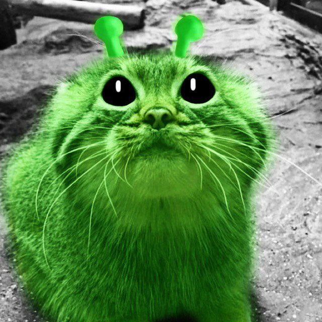 Feazyeth's tweet photo. $gloop just launched with huge community straight to number one on dexscreener.

Chart: Check out gloop/SOL on DEX Screener! https://t.co/ktLLLZ7EoQ

Ca: HWig776axn3cPigD96sLiDHtJitj2F77SFM2yK3Npump

Join telegram: https://t.co/8lqisvr06b https://t.co/hX3HHbomMU