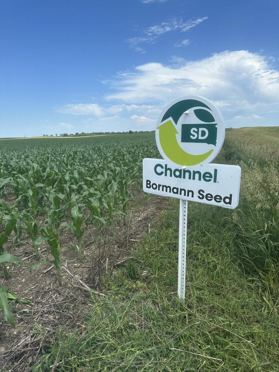 AdamBormann's tweet image. New field signs got planted today! @ChannelSeed #ChannelingUp