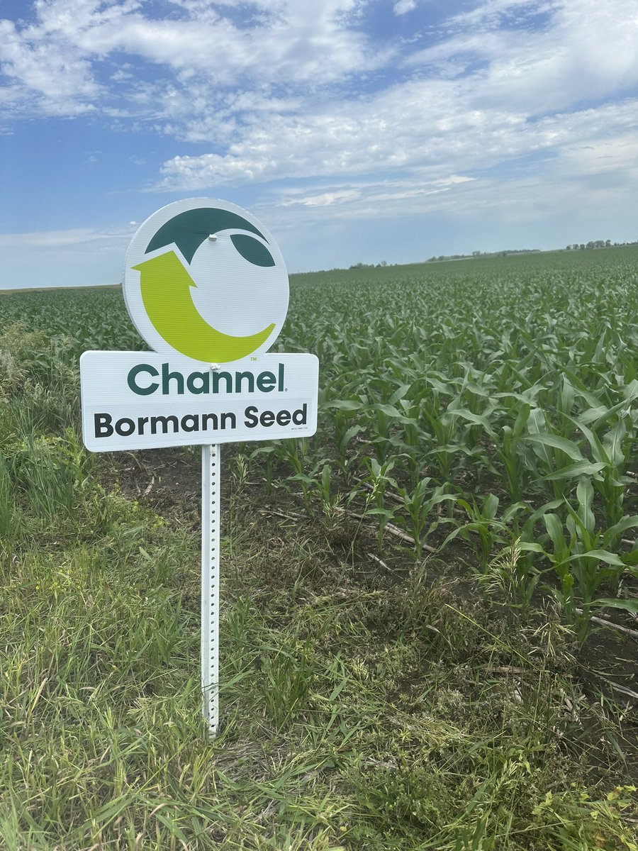 AdamBormann's tweet image. New field signs got planted today! @ChannelSeed #ChannelingUp