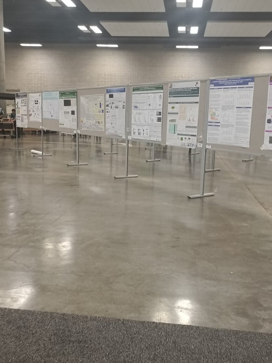 Soledad Traubenik tweet media