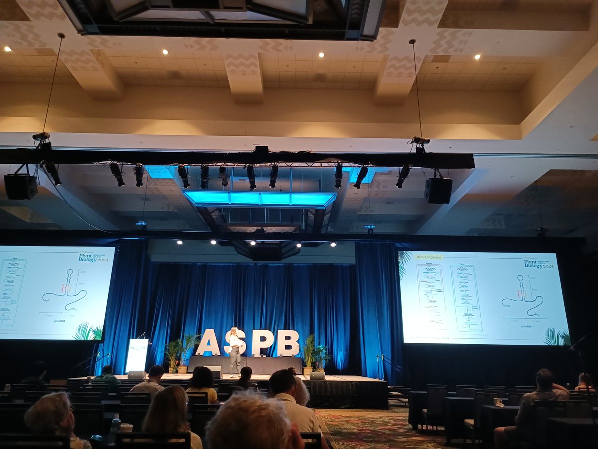 Soledad Traubenik tweet media