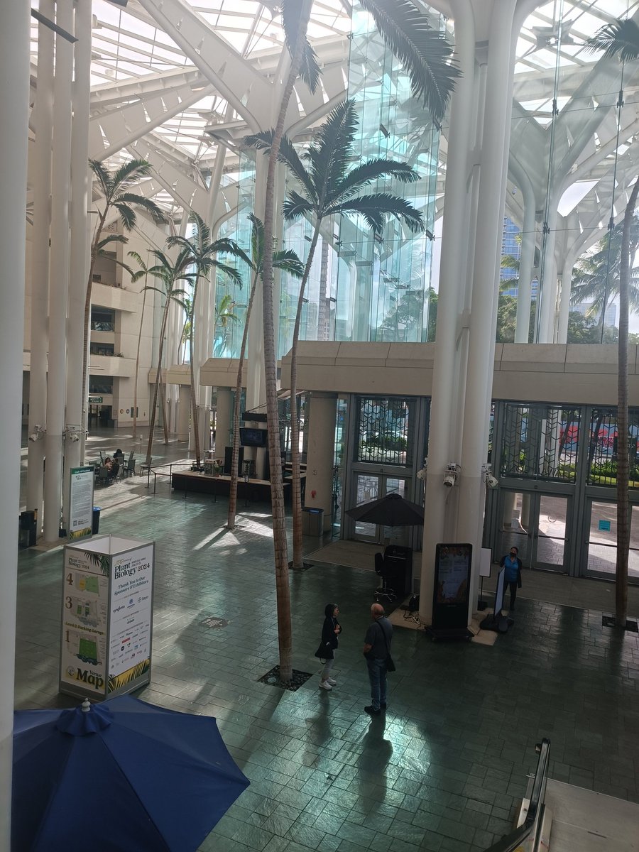 Soledad Traubenik tweet media