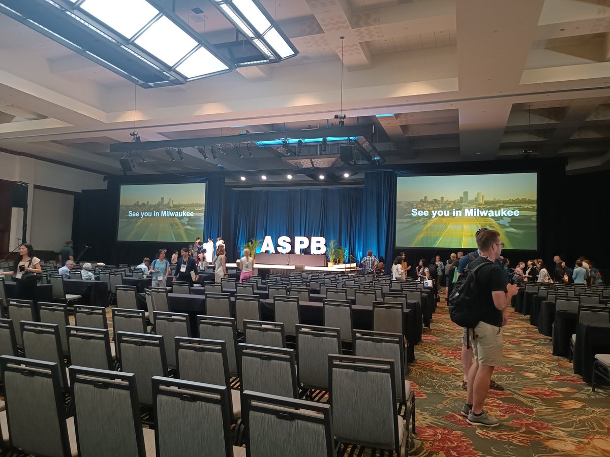 Soledad Traubenik tweet media