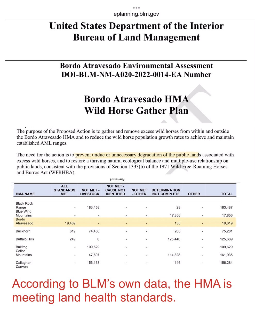 Blueequus775's tweet photo. .@SecDebHaaland @NRDems: More revolting “management” of wild horses. 

https://t.co/3Rz5ENN3V3 https://t.co/cqgnWF23OI