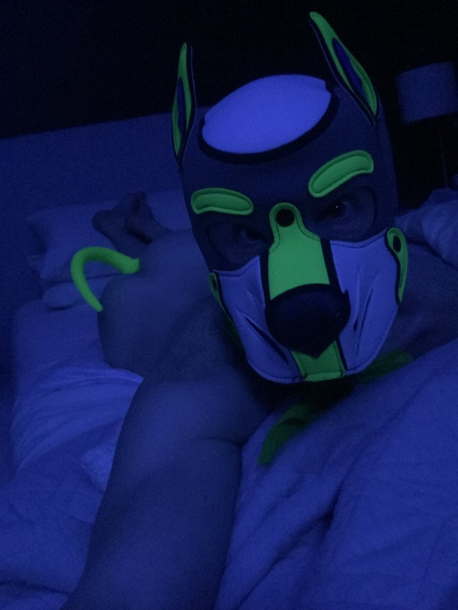 gearheadsub92's tweet photo. Arf! Pup finally got his matching tail 🤤🥰 https://t.co/07nMMiZM55