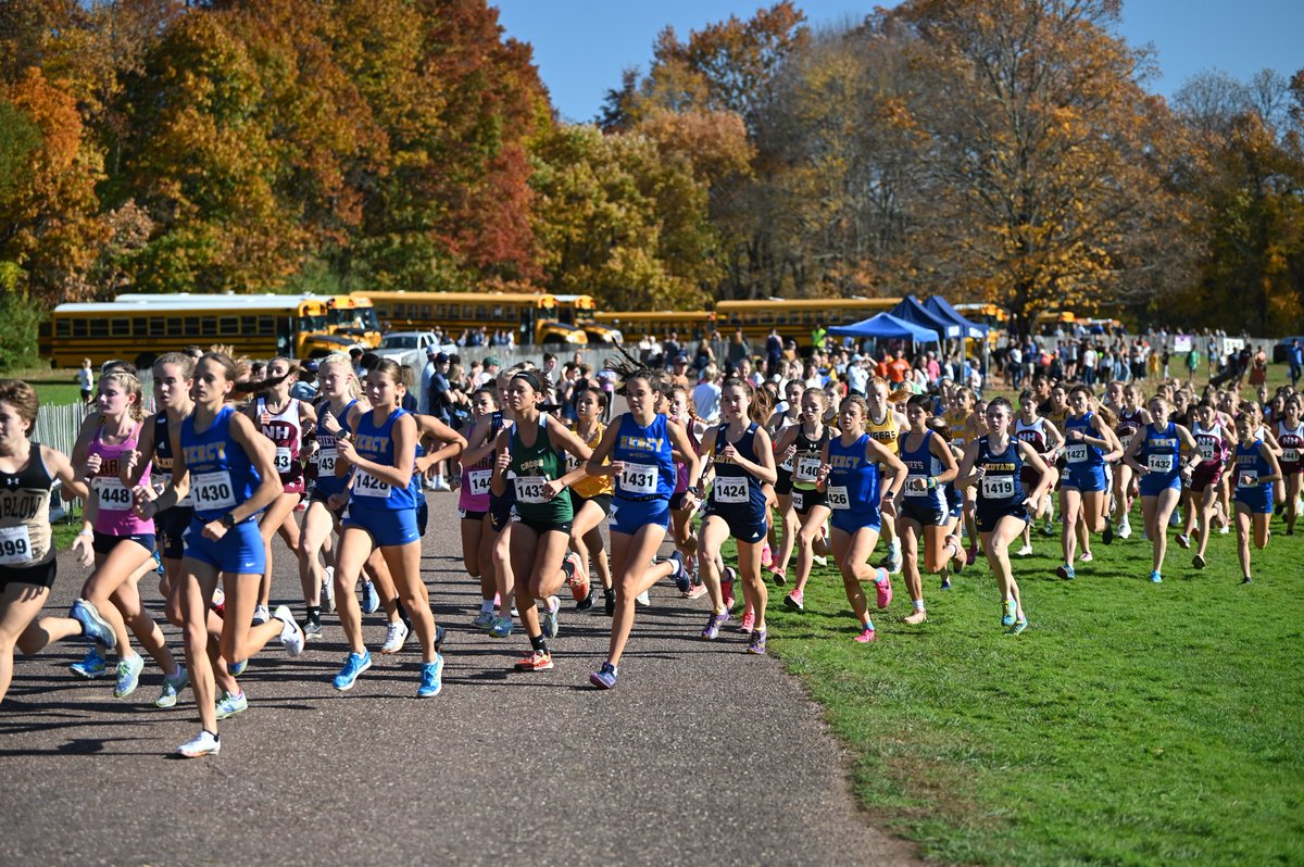 Mercy Tigers tweet media