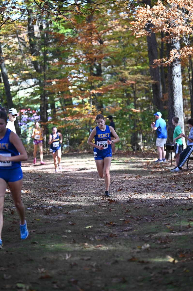 Mercy Tigers tweet media