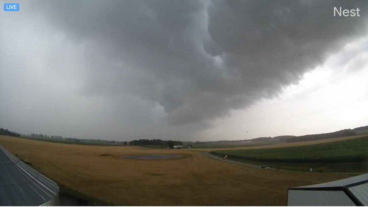 wxornotBG tweet media