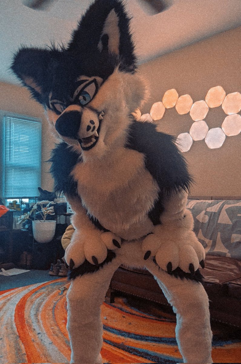 LeonHusker's tweet photo. He has a BODY
Finished this boi very recently, now i just have to remake Leons before Anthrocon >:3 https://t.co/4TP5pmJPdK