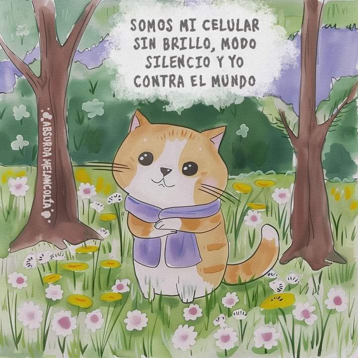 absurdamela's tweet photo. https://t.co/ZNAIWqmd2a