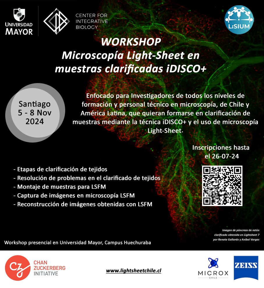 Light-Sheet Imaging U. Mayor (@lisium_chile) on Twitter photo 🔴 Alerta de Workshop!
Todo sobre clarificación de tejidos mediante iDISCO+ y🔬Light-sheet en el hub de microscopía del <a href="/CIBumayor/">Center for Integrative Biology U. Mayor</a> con el apoyo de <a href="/cziscience/">CZI Science</a>
5-8 de Nov.
¡No te lo puedes perder!
Márcalo en tu calendario e inscríbete antes del 26/07
👇
docs.google.com/forms/d/e/1FAI… 🔴 Alerta de Workshop!
Todo sobre clarificación de tejidos mediante iDISCO+ y🔬Light-sheet en el hub de microscopía del <a href="/CIBumayor/">Center for Integrative Biology U. Mayor</a> con el apoyo de <a href="/cziscience/">CZI Science</a>
5-8 de Nov.
¡No te lo puedes perder!
Márcalo en tu calendario e inscríbete antes del 26/07
👇
docs.google.com/forms/d/e/1FAI…