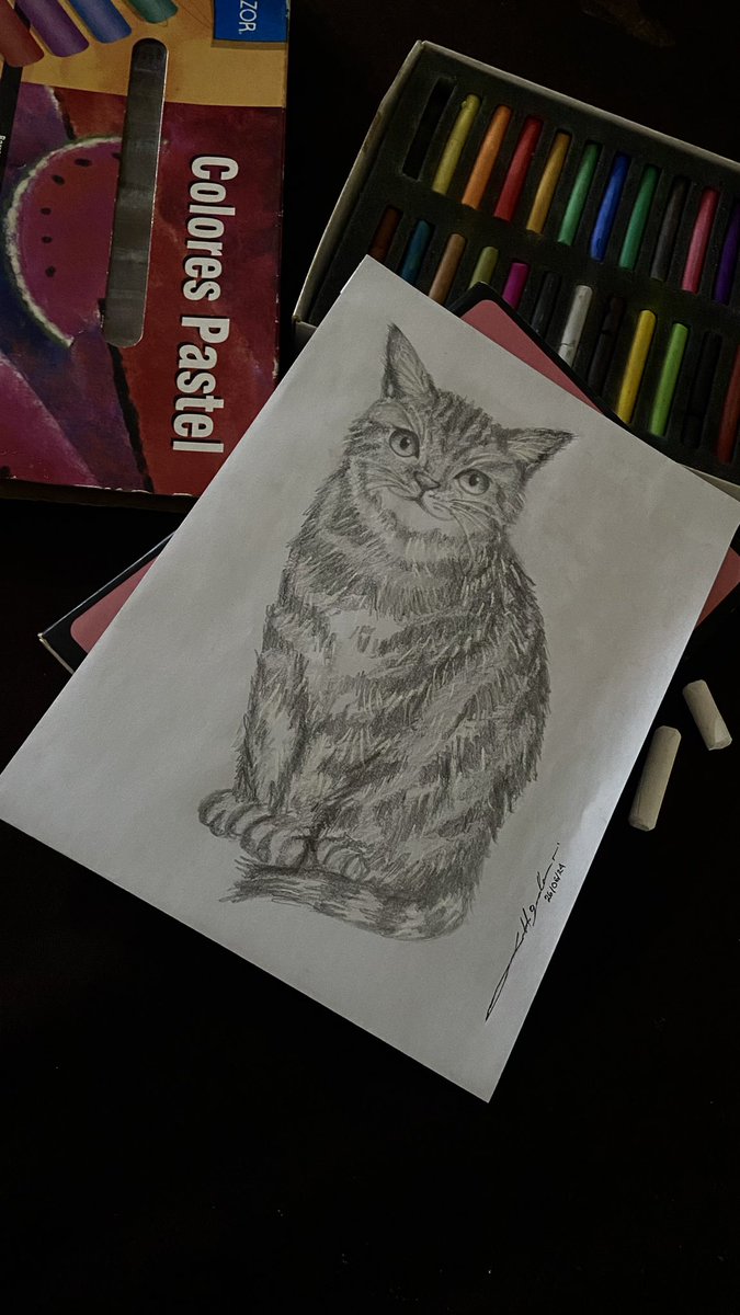 BecerraRoseel's tweet photo. Time to draw michis https://t.co/TIWjpEzWjx