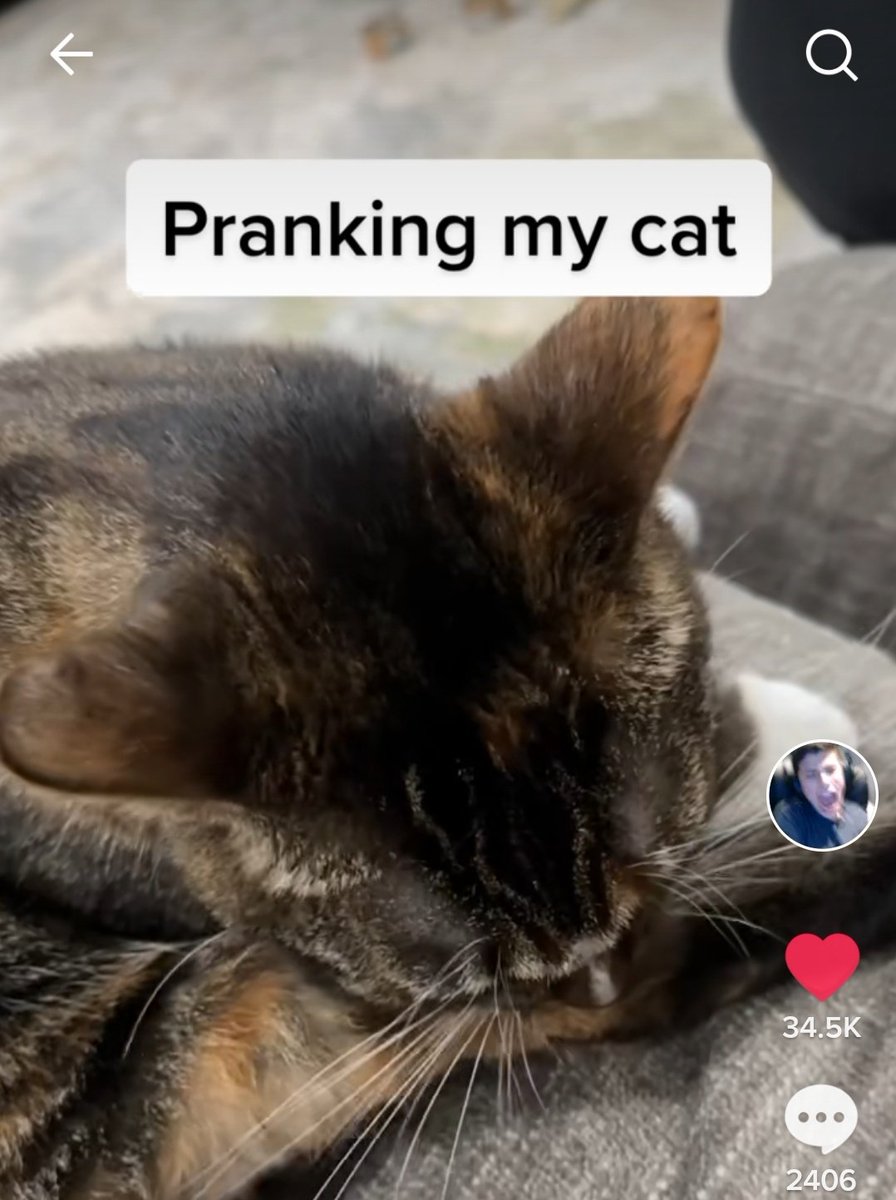 daily patches 😼 tweet media