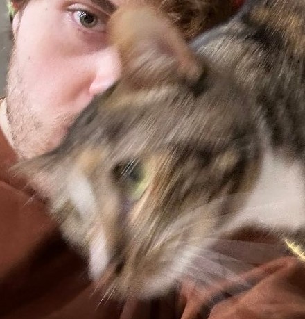 daily patches 😼 tweet media