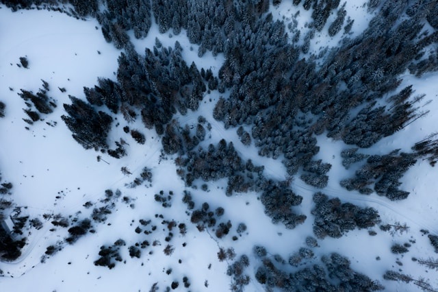 AmeliaDaniel200's tweet photo. A Snow Covered Forest With Some Trees.
🌈 Dive into vibrant digital photography with my NFT collection! Each piece is a unique treasure. 📷💖
https://t.co/n7s2vtZItY
#DigitalArt #NFT #PhotographyLovers #A122 https://t.co/h2RH4LcuXa